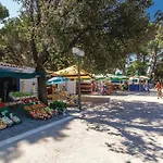 Ponte Punat